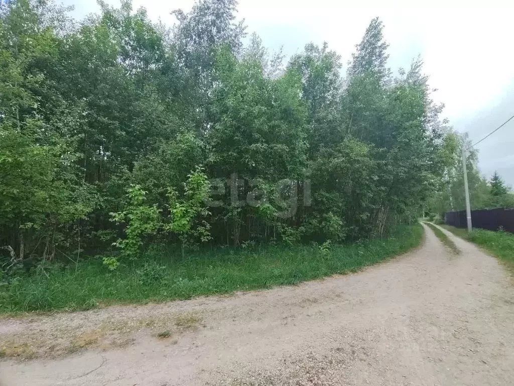 Участок в Калужская область, Калуга городской округ, д. Угра  (9.5 ... - Фото 2