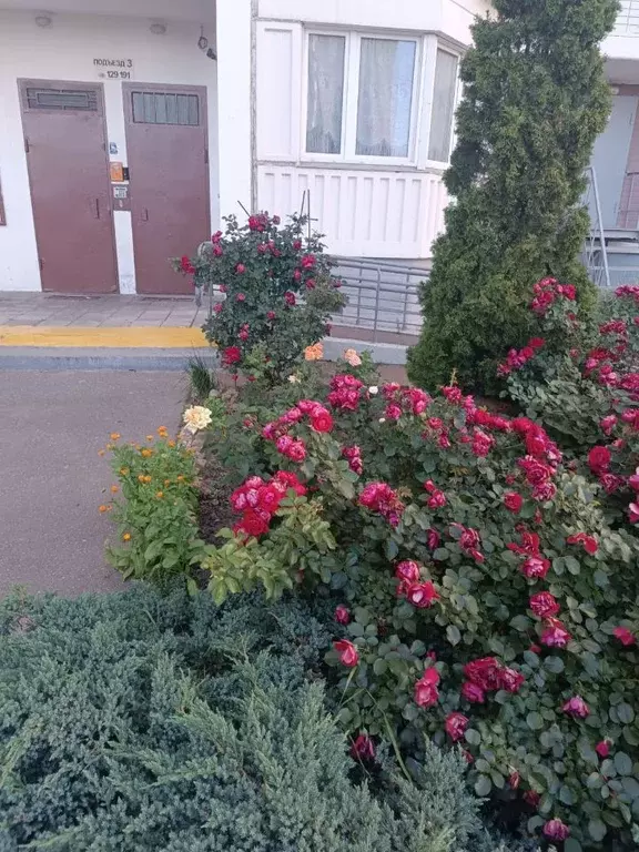 1-к кв. Москва Внуковское поселение, ул. Летчика Грицевца, 4 (42.0 м) - Фото 0