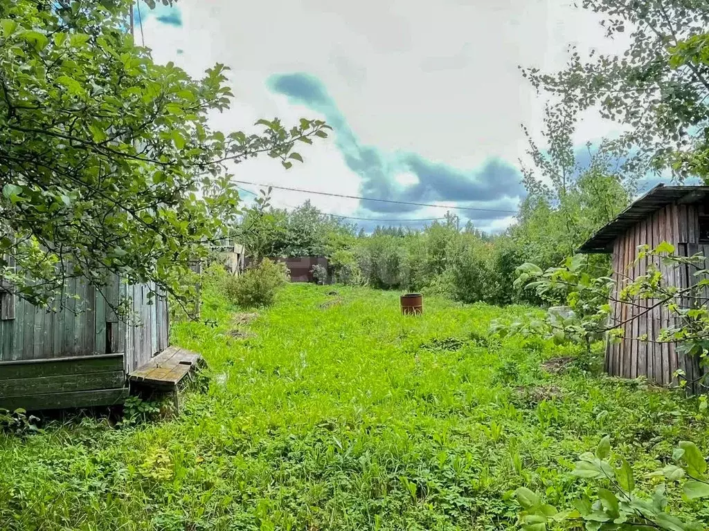 Участок в Ярославская область, Ярославский муниципальный округ, Соньга ... - Фото 1