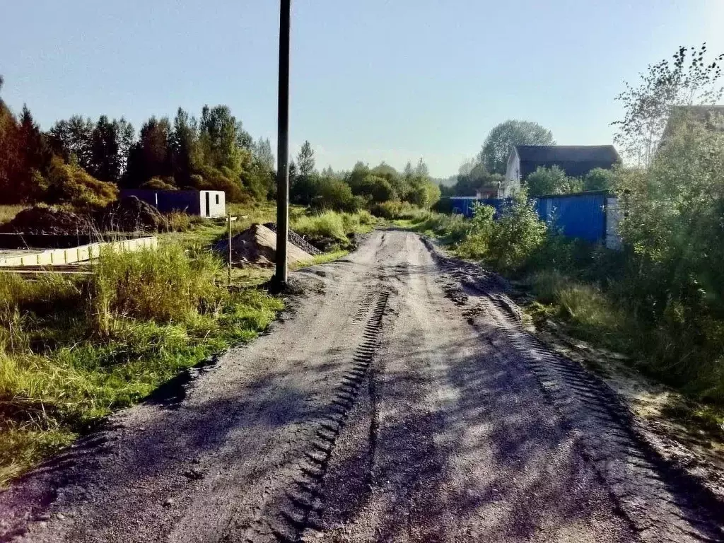 Участок в Ленинградская область, Приозерский район, Красноозерное ... - Фото 0