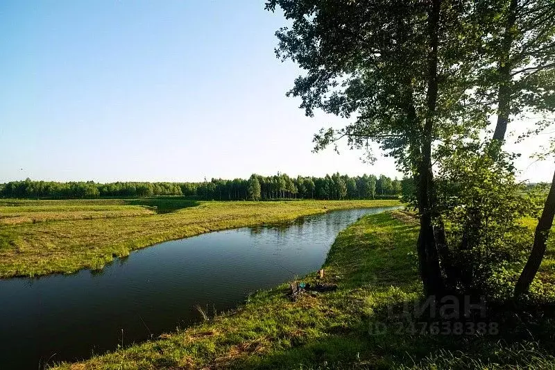 Участок в Тульская область, Заокский район, Демидовское муниципальное ... - Фото 2