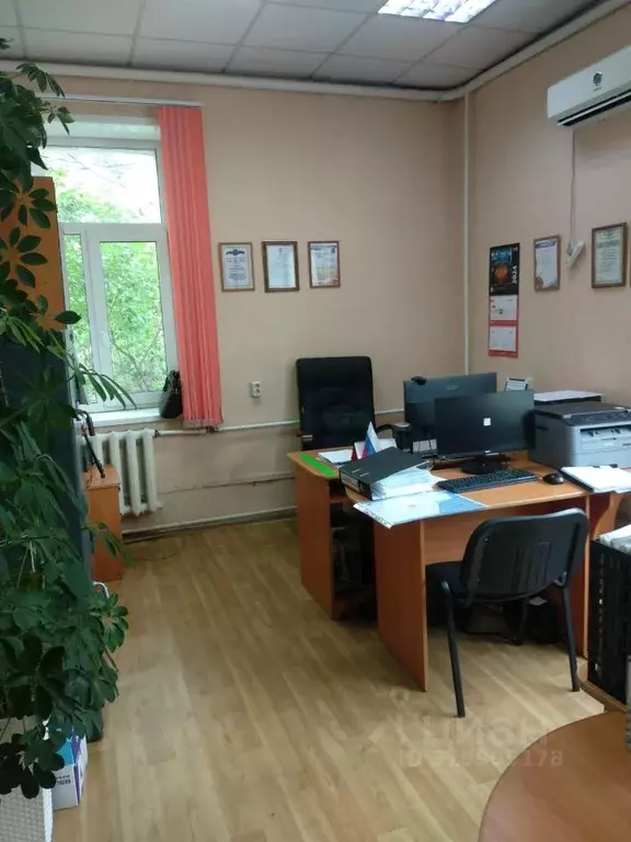 Помещение свободного назначения в Амурская область, с. Тамбовка ул. ... - Фото 1