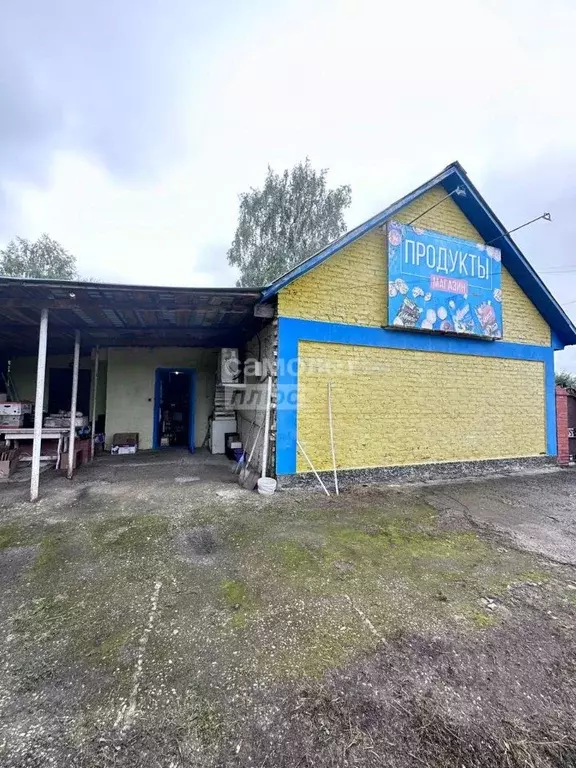 Торговая площадь в Омская область, Омский район муниципальный округ, ... - Фото 2