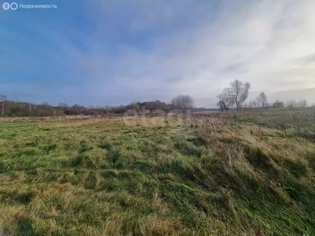 Участок в Калининградская область, Зеленоградский муниципальный округ, ... - Фото 1