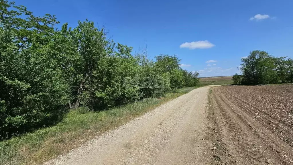 Участок в Крым, Белогорский район, Цветочненское с/пос, с. Долиновка  ... - Фото 1