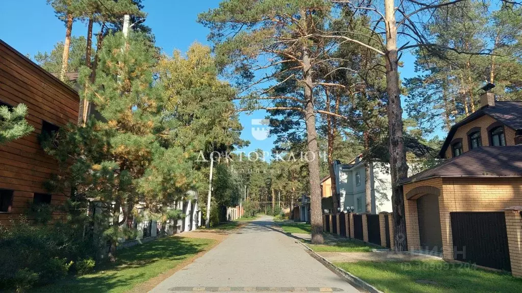 Участок в Новосибирская область, Новосибирский район, Кудряшовский ... - Фото 0