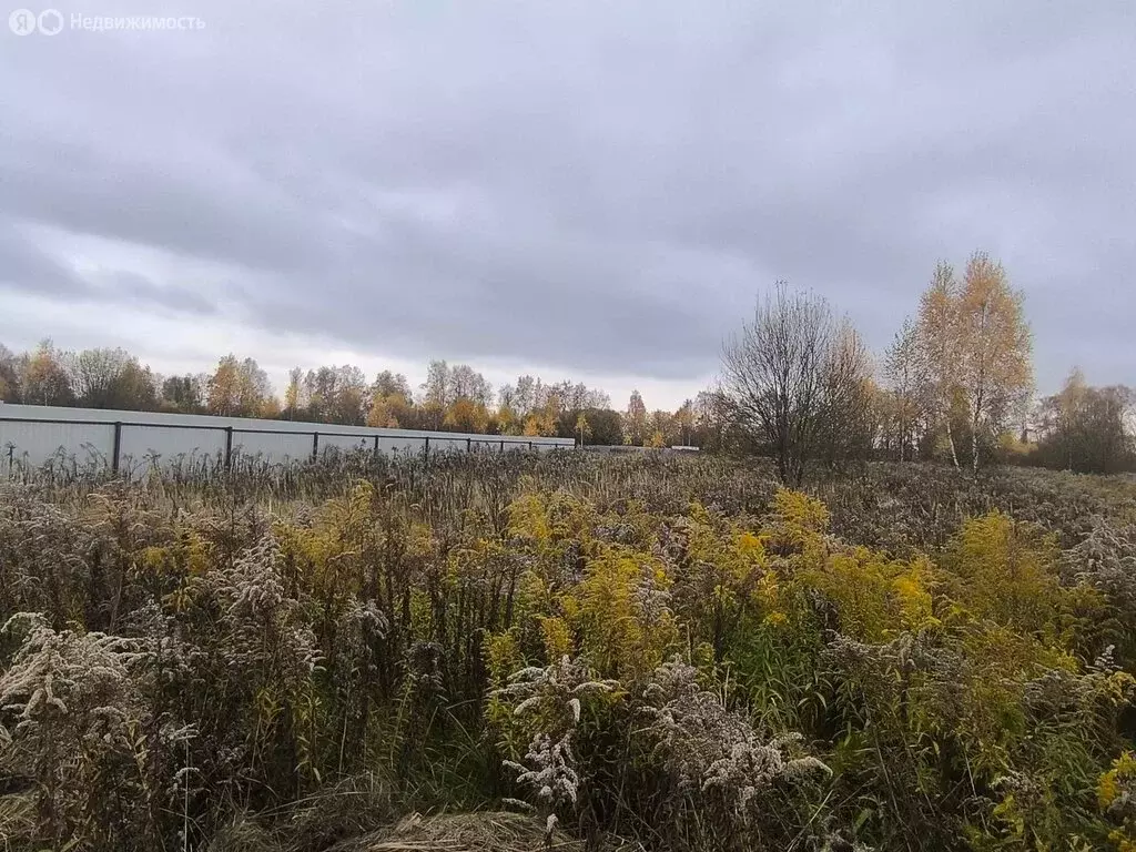 Участок в Тульская область, городской округ Тула, село Фёдоровка, ... - Фото 1