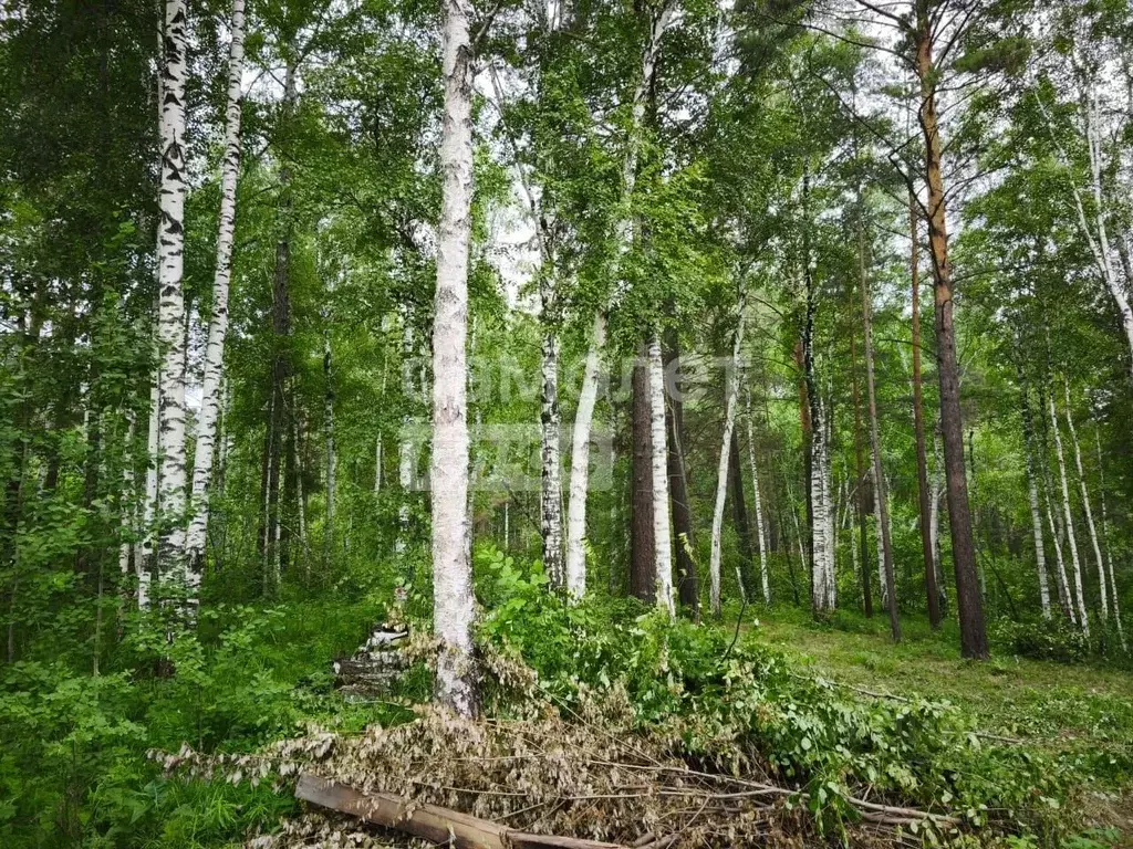 Участок в Иркутская область, Иркутский муниципальный округ, Красная ... - Фото 2