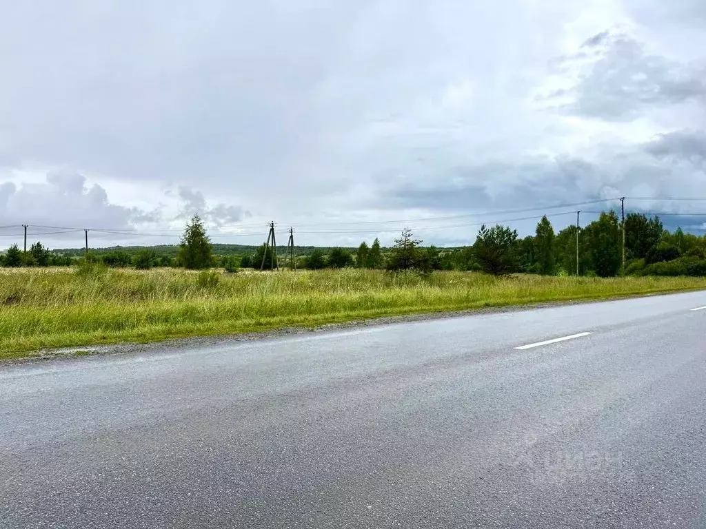 Участок в Татарстан, Пестречинский район, Богородское с/пос  (10.0 ... - Фото 2