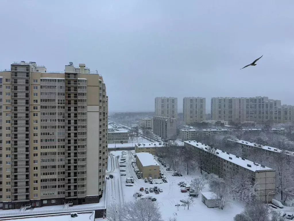 1-к кв. Санкт-Петербург Ново-Александровская ул., 14 (39.7 м) - Фото 0