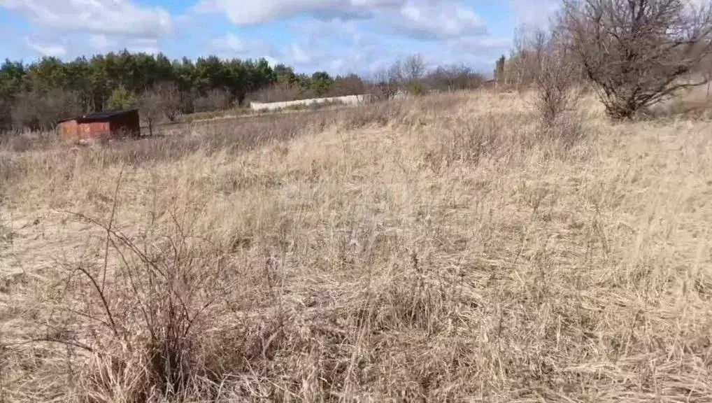 Участок в Курская область, Курский район, Пашковский сельсовет, ... - Фото 1
