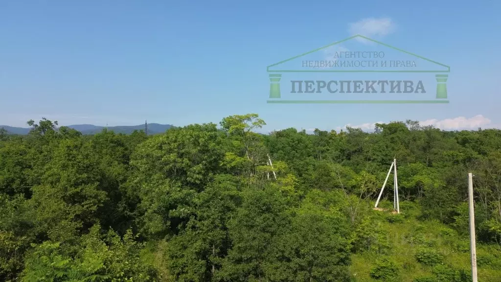 Участок в Приморский край, Артемовский городской округ, с. Ясное ул. ... - Фото 1