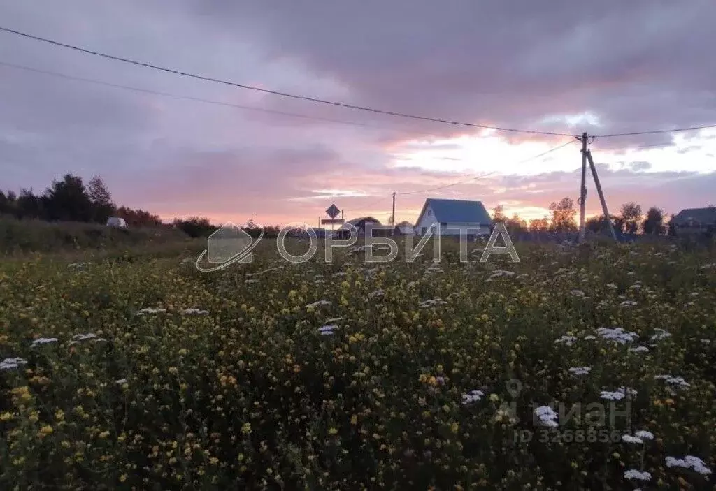 Участок в Тюменская область, Тюменский муниципальный округ, с. ... - Фото 2