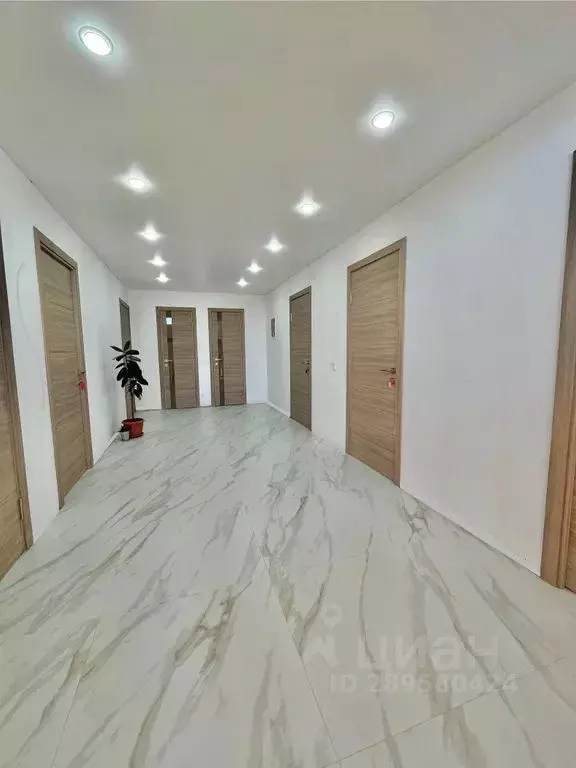 Комната Краснодарский край, Геленджик Почтовая ул., 11 - Фото 0