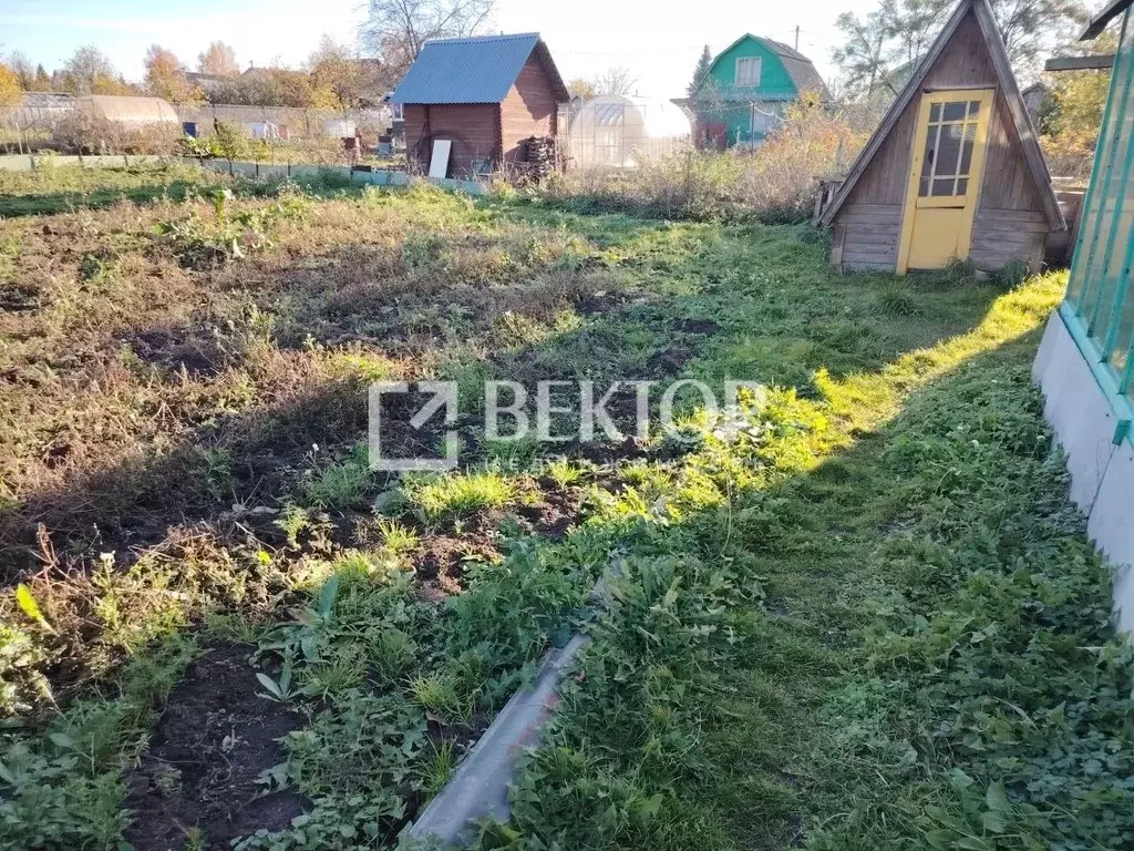 Участок в Костромская область, Кострома Северный СНТ, 50 (9.8 сот.) - Фото 1