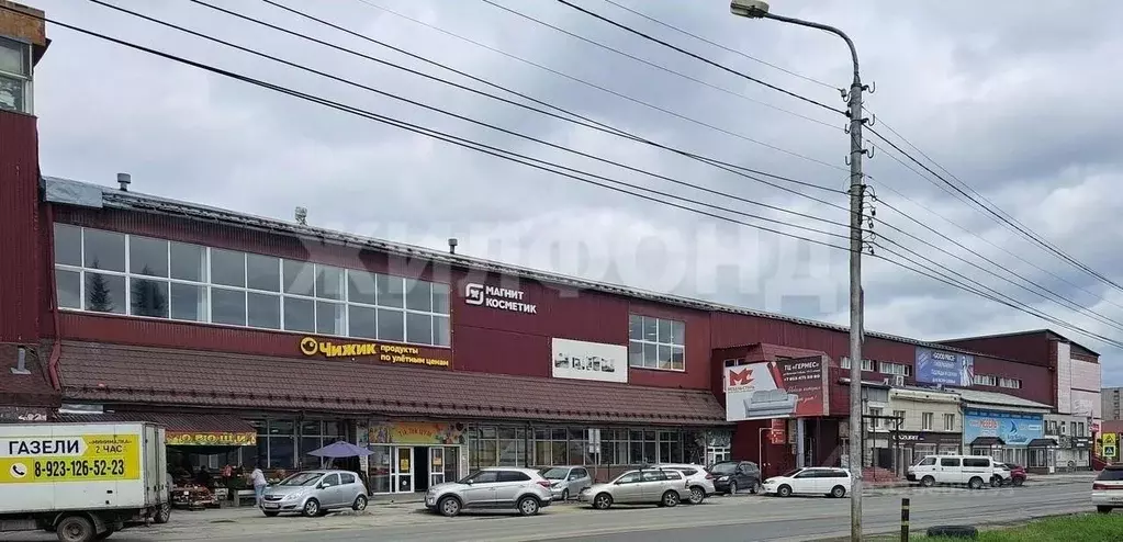 Торговая площадь в Новосибирская область, Бердск Первомайская ул., 12 ... - Фото 2