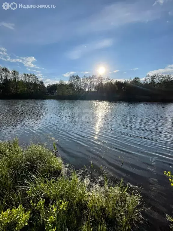 Участок в Пензенский район, Воскресеновский сельсовет, село ... - Фото 1