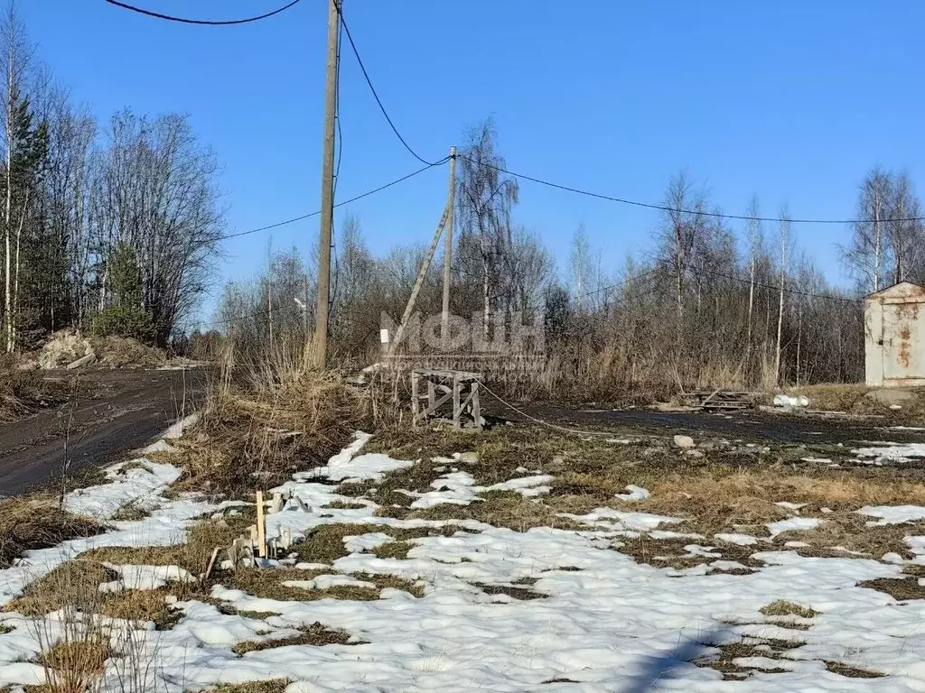Участок в Карелия, Кондопожский район, Кончезерское с/пос, с. ... - Фото 1