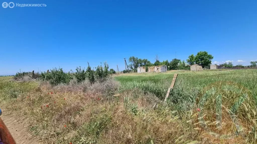 Участок в Сакский район, Воробьёвское сельское поселение, село ... - Фото 0