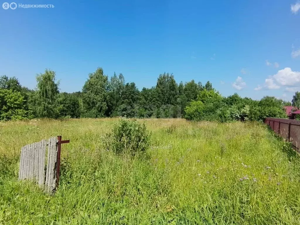 Участок в Вологодская область, Белозерский муниципальный округ, ... - Фото 0