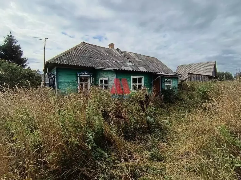 Дом в Ярославская область, Некрасовский муниципальный округ, с. ... - Фото 2