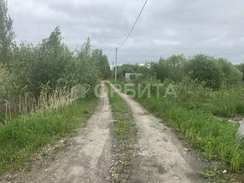 Участок в Тюменская область, Тюмень Садовое товарищество Липовый ... - Фото 0