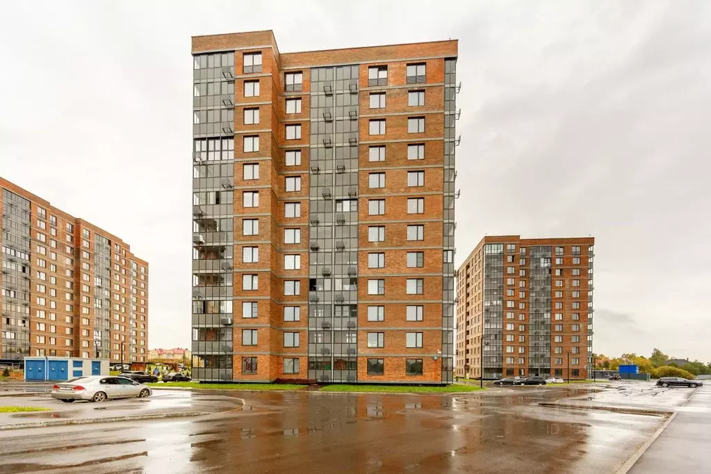 3-к кв. Московская область, Домодедово Авиационный мкр, ул. ... - Фото 2