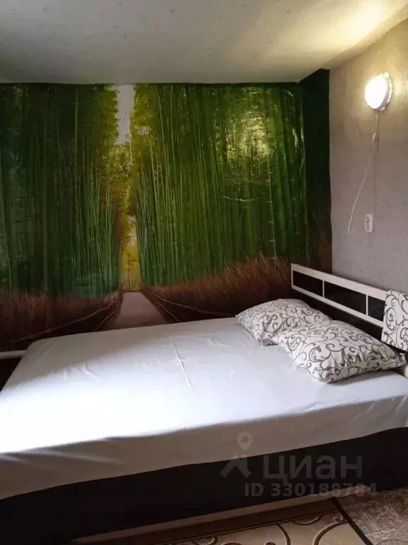 Дом в Воронежская область, Павловск ул. Зои Космодемьянской, 34 (60 м) - Фото 1