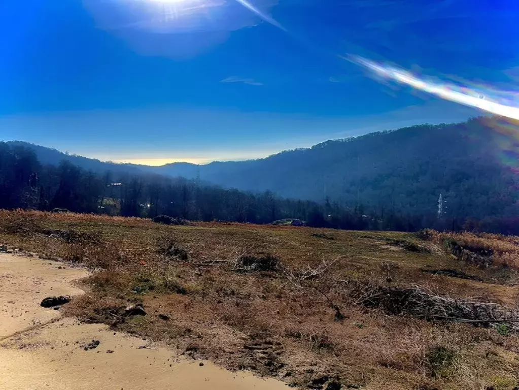 Участок в Краснодарский край, Сочи городской округ, с. Липники  (1.0 ... - Фото 1