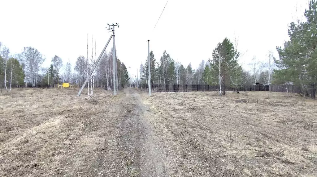 Участок в Курганская область, Кетовский муниципальный округ, ... - Фото 2