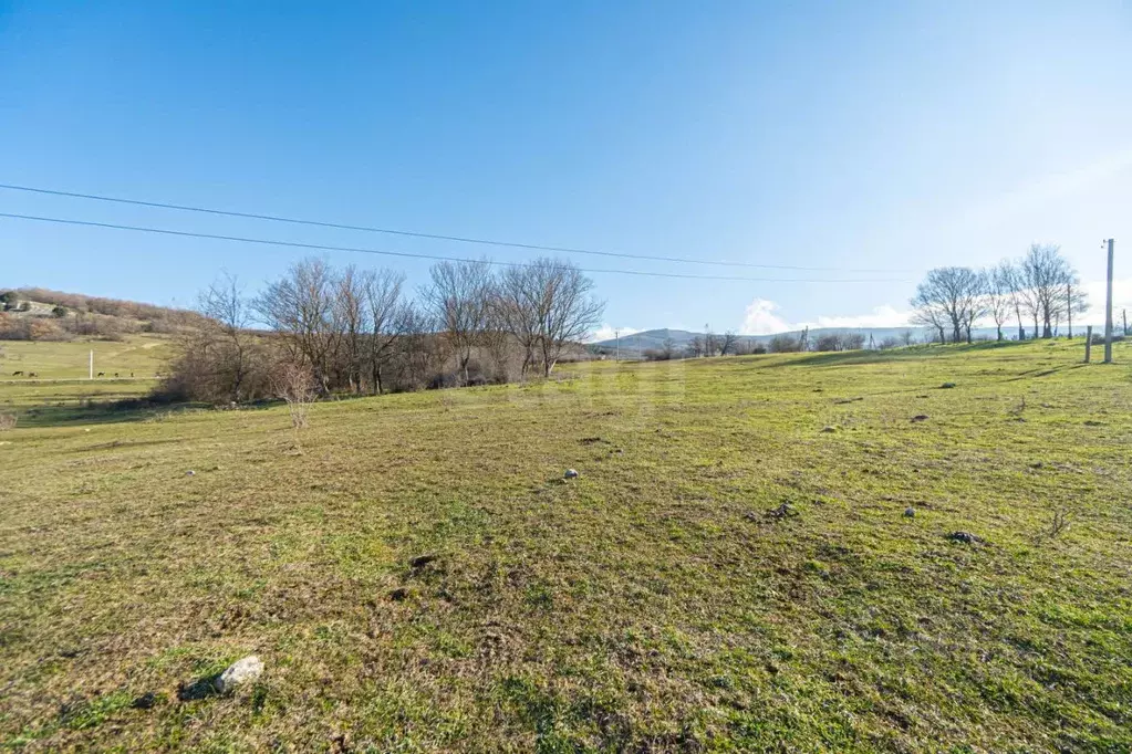 Участок в Севастополь с. Новобобровка, ул. Животноводов (15.0 сот.) - Фото 1