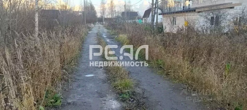 Участок в Ленинградская область, Гатчинский муниципальный округ, пос. ... - Фото 2
