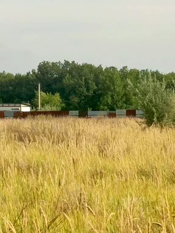 Участок в Самарская область, Волжский район, Воскресенка с/пос, пос. ... - Фото 1