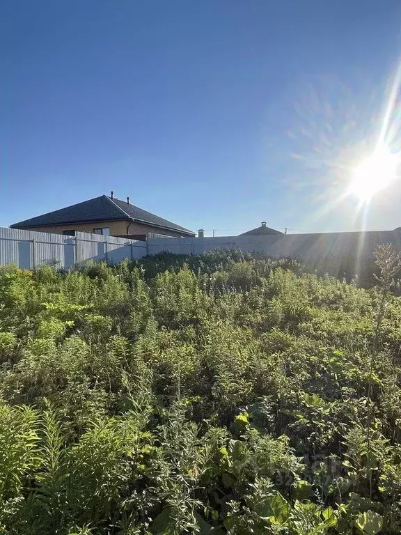 Участок в Тульская область, Тула городской округ, д. Медвенка ул. ... - Фото 1