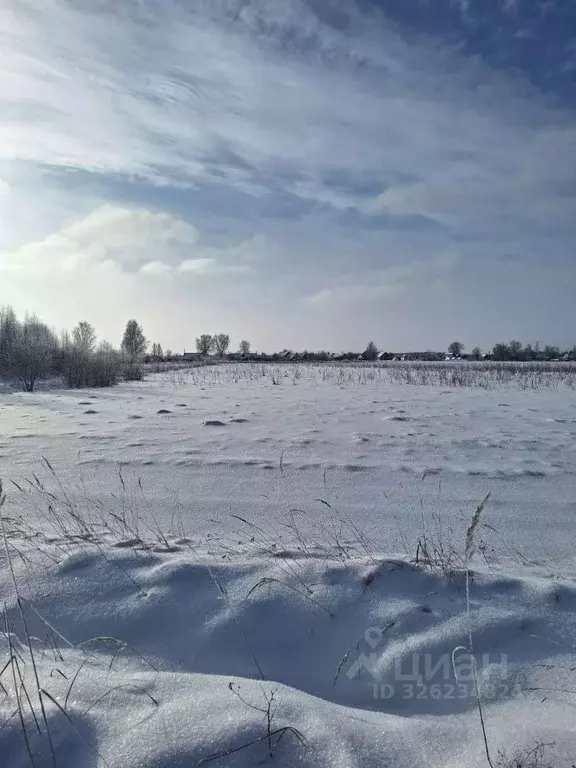 Участок в Псковская область, Псковский район, Писковичская волость, д. ... - Фото 2