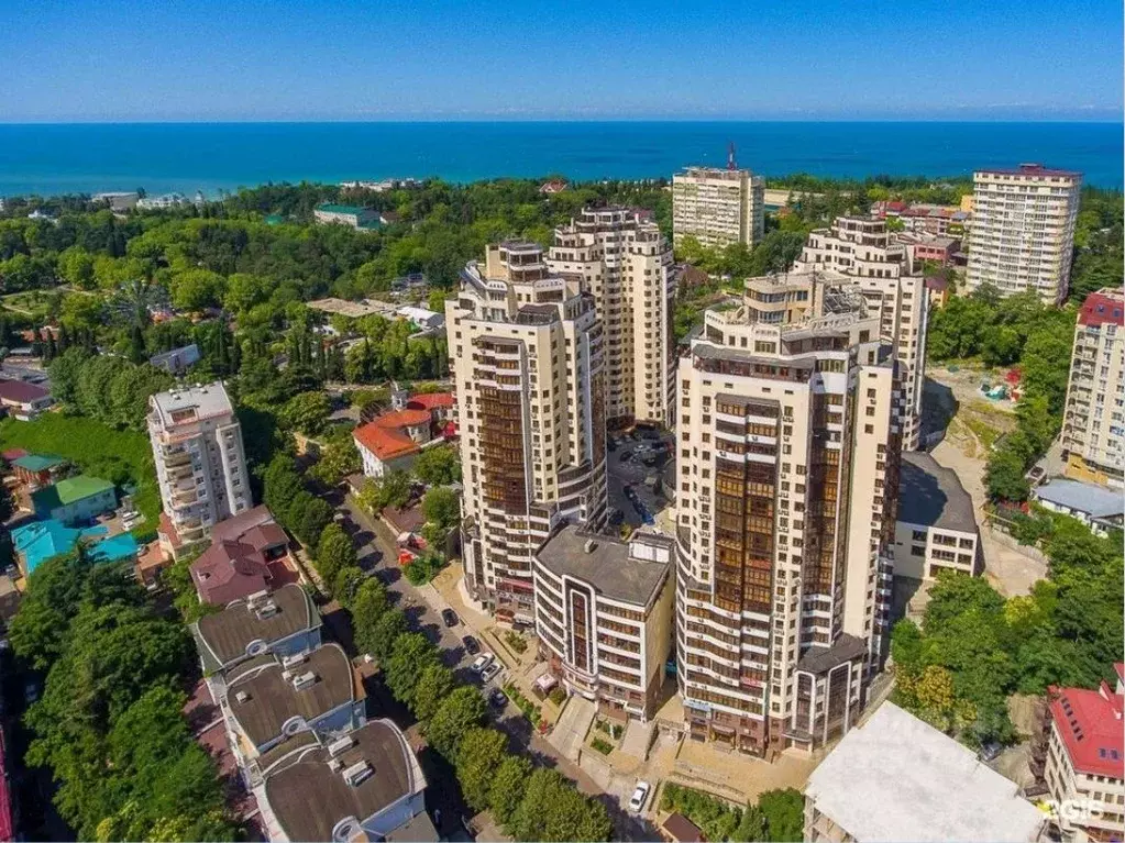 2-к кв. Краснодарский край, Сочи Виноградная ул., 2/3 (50.0 м) - Фото 2