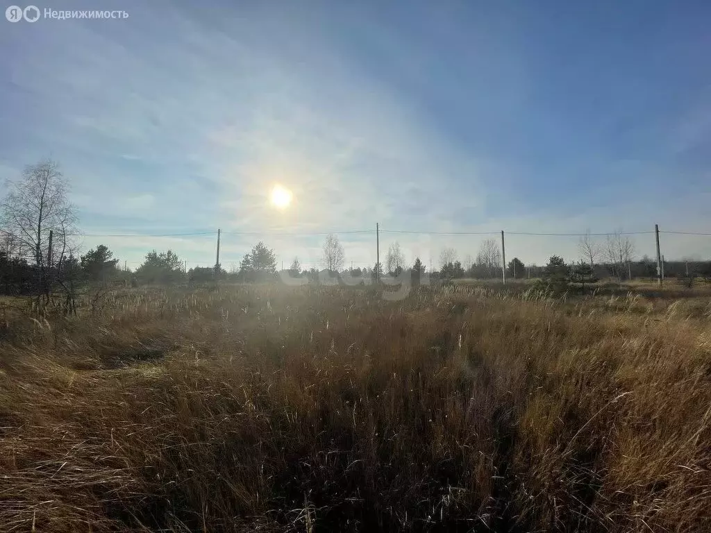 Участок в Рамонский район, Айдаровское сельское поселение, СНТ Лесная ... - Фото 1