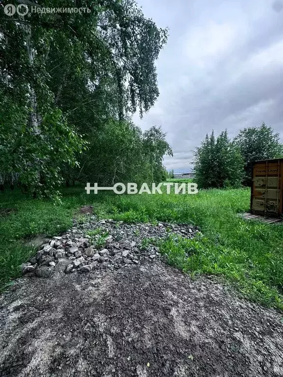 Участок в Криводановский сельсовет (16 м) - Фото 0