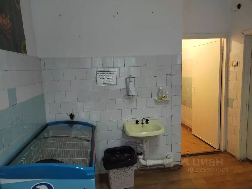 Помещение свободного назначения в Свердловская область, с. Байкалово ... - Фото 2