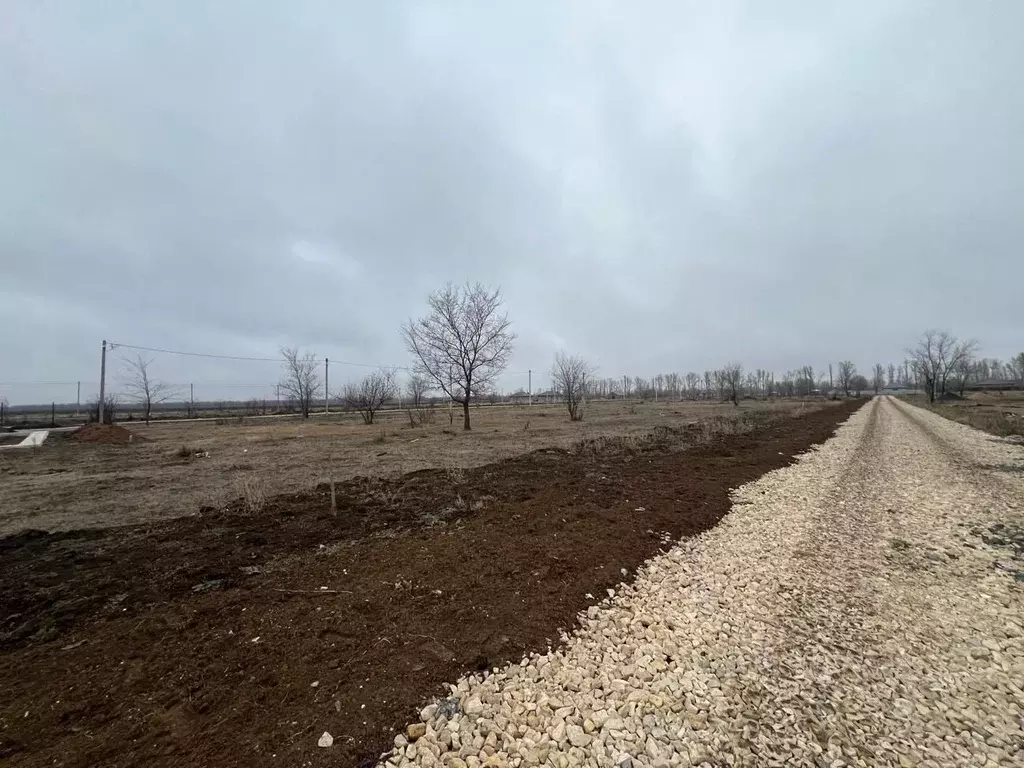 Участок в Саратовская область, Энгельсский район, Новопушкинское ... - Фото 1