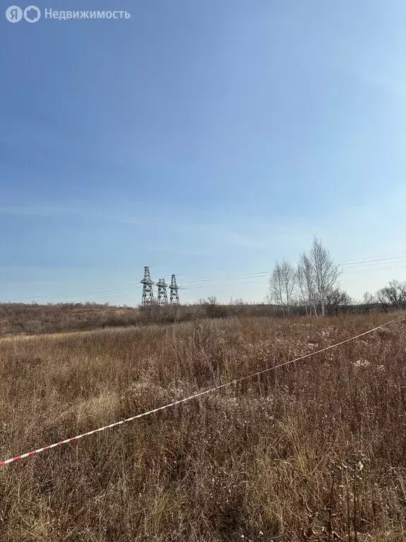 Участок в Амурская область, Благовещенский муниципальный округ, село ... - Фото 0