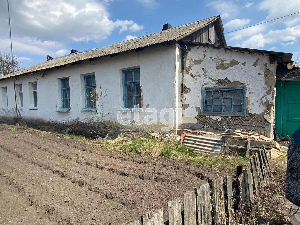 Авито Воронежская Область Аннинский Район Купить Животные