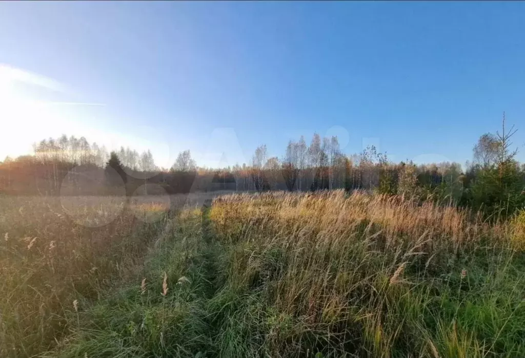 Участок 2 га (СНТ, ДНП) - Фото 1