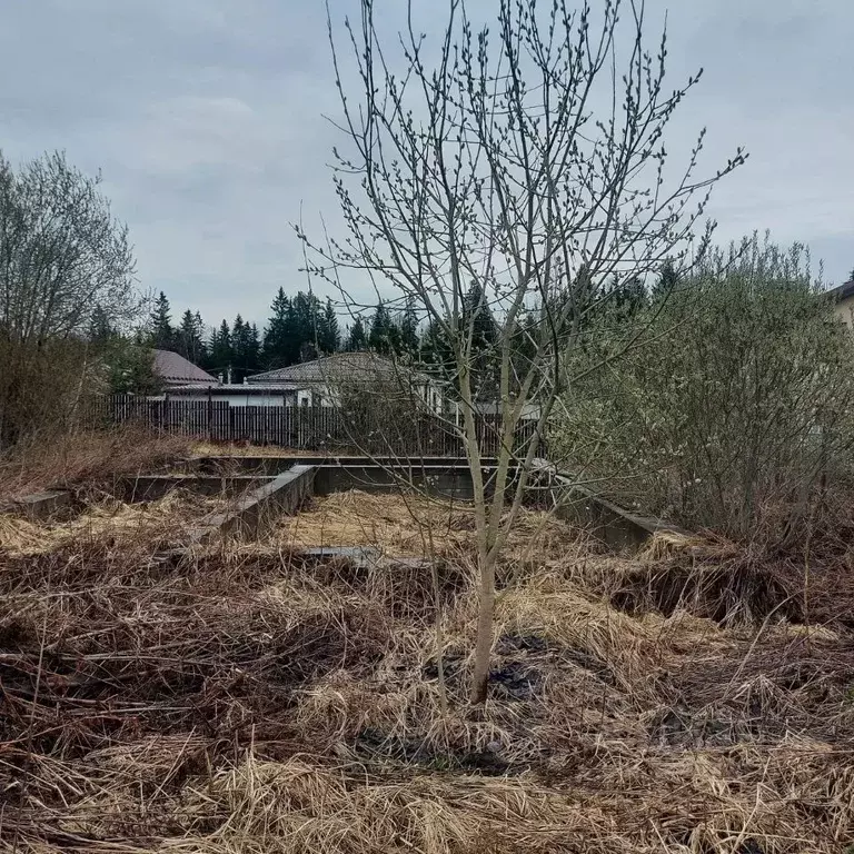 Участок в Московская область, Солнечногорск городской округ, Тироль кп ... - Фото 2