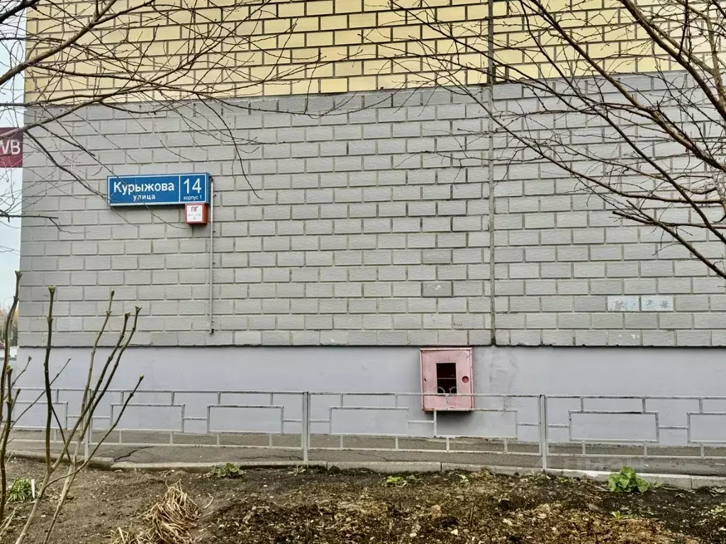 1-к кв. Московская область, Домодедово Южный мкр, ул. Курыжова, 14к1 ... - Фото 2