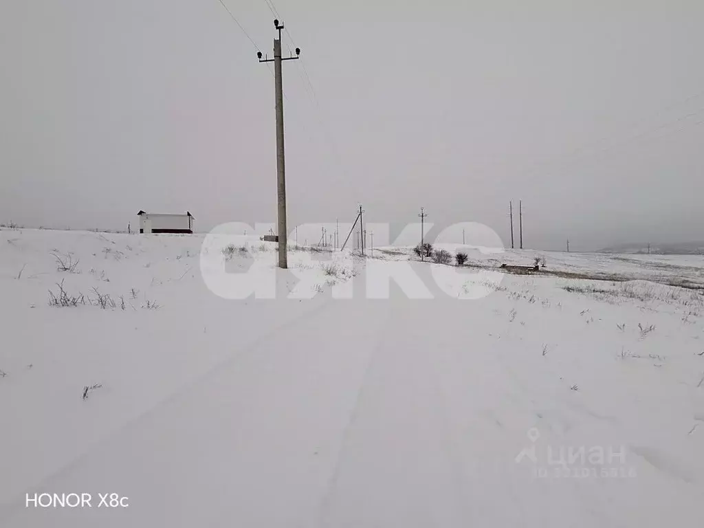 Участок в Волгоградская область, Городищенский район, Царицынское ... - Фото 1
