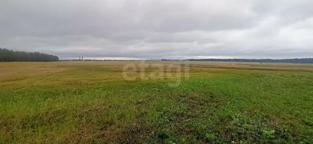 Участок в Белгородская область, Губкин пер. 1-й Модный (20.0 сот.) - Фото 0