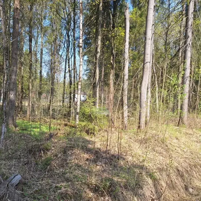 Участок 12 сот. (ИЖС) - Фото 0