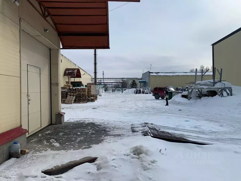 Помещение свободного назначения в Новосибирская область, Новосибирск ... - Фото 1