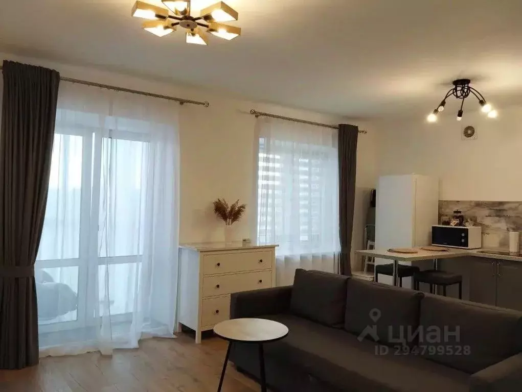 1-к кв. Псковская область, Псков Ольгинская наб., 5А (36.2 м) - Фото 1